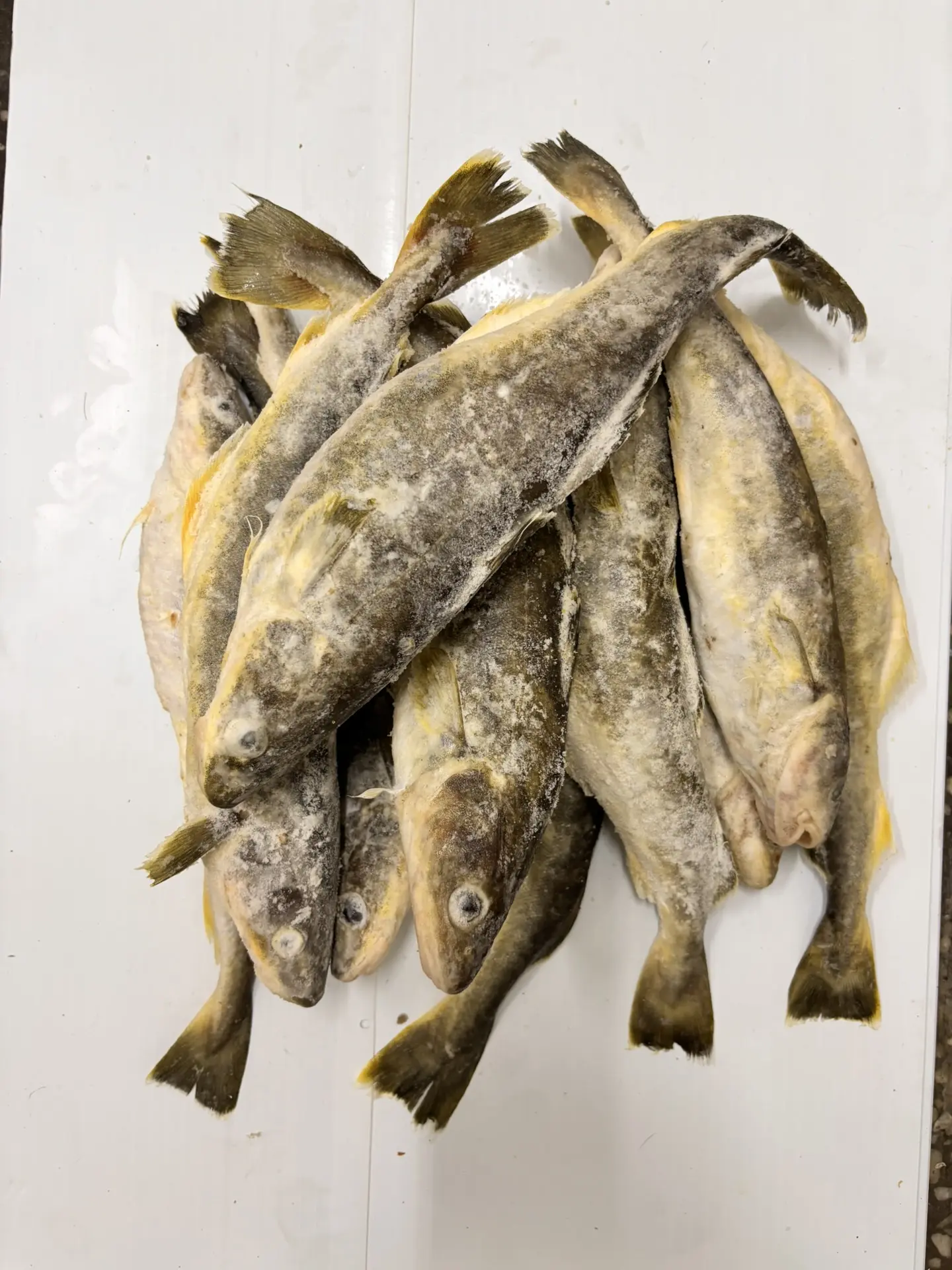 Навага  с/м н/р (ворошенка)