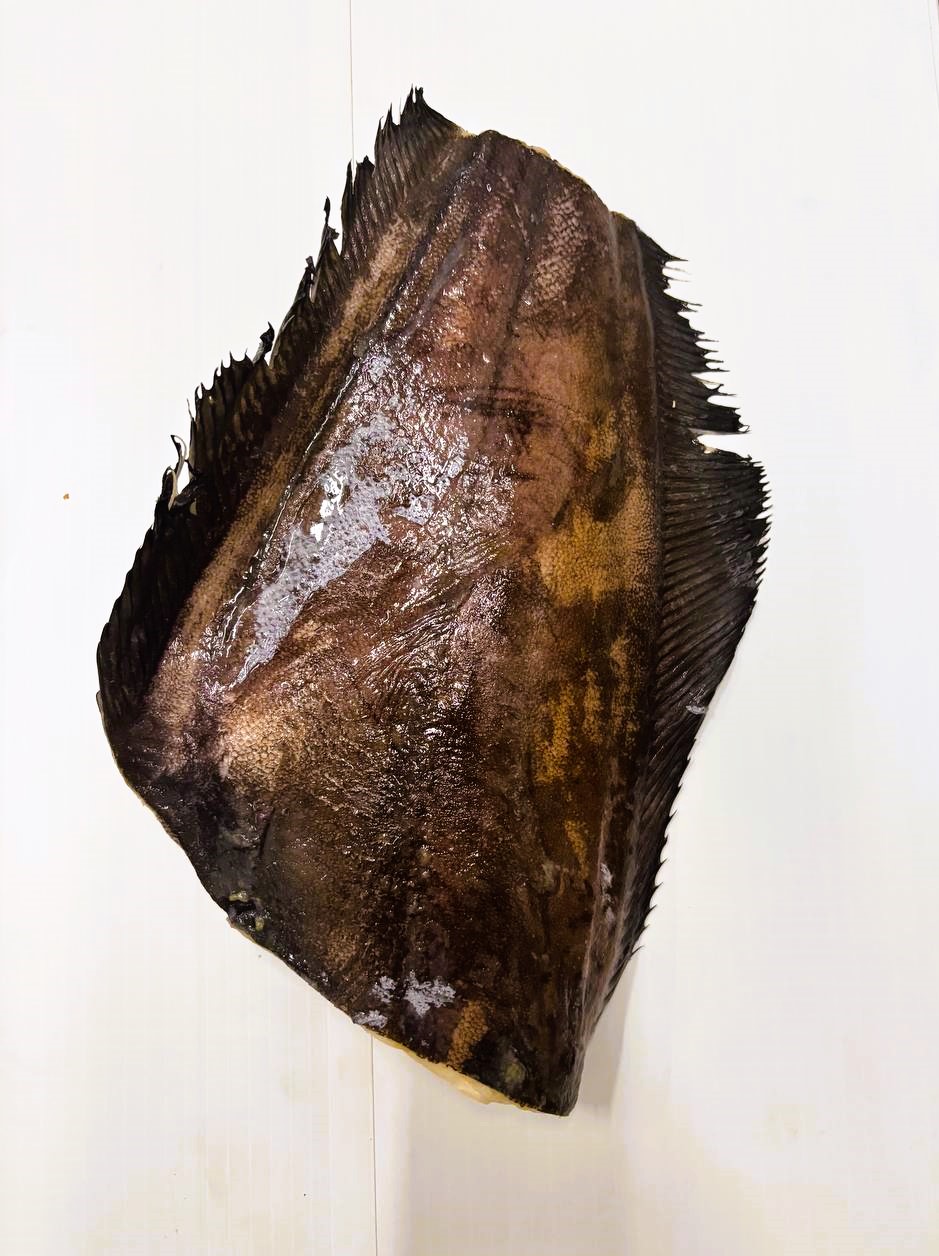 Палтус  черный размер "м"б/г б/х с/м