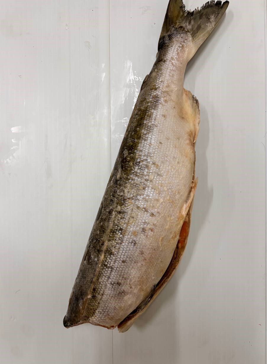 Нерка  ПБГ L с/в