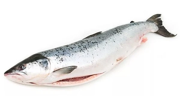 кижуч потрошеный с головой