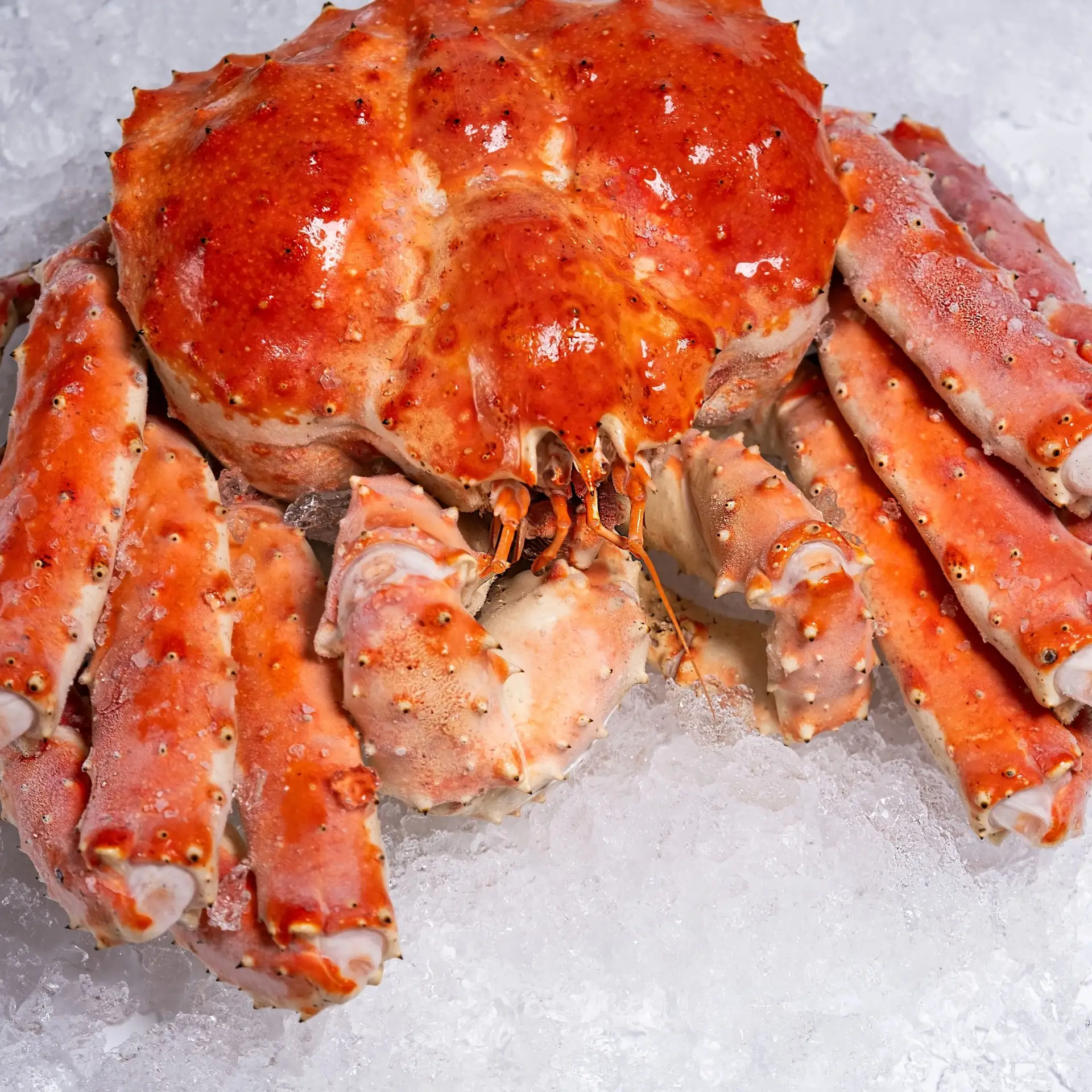 Краб Камчатский  (900-1100гр)